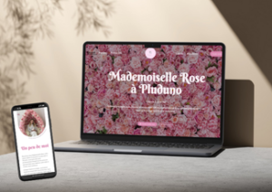 Création site internet institut onglerie Mademoiselle Rose Val d'Arguenon affiché sur ordinateur et mobile, site vitrine optimisé SEO local