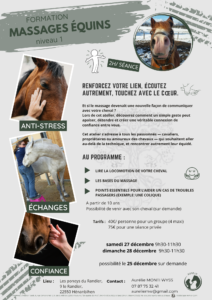 Flyer massages équins