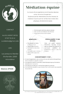 Flyer Médiation Équine